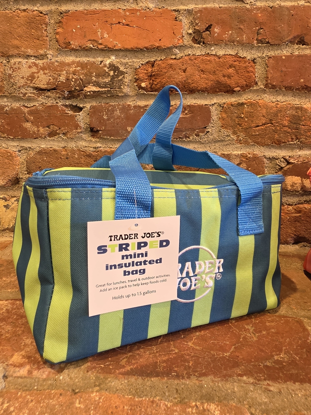 Trader Joe's Striped Insulated Tote in Blue & Lime - Picture 2 of 2